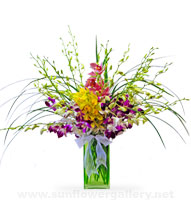 exotic-flowers-orchids