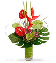 exotic-modern-flowers