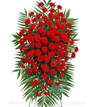 red-carnation-easel-spray