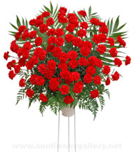 red-rose-standing-spray