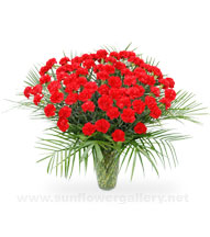 red-carnation-sympathy-bouquet
