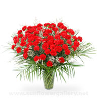 red-carnation-sympathy-vase