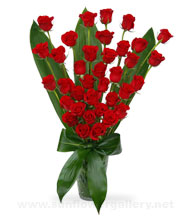 sympathy-red-roses