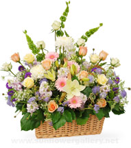 sympathy-basket