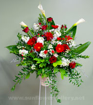 redandwhite-spray