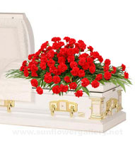 red-carnation-casket-spray