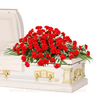 red-carnation-baby-breath-casket-spray