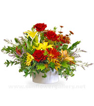 sympathy-basket