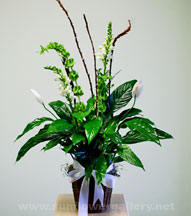 peace-lily-plant