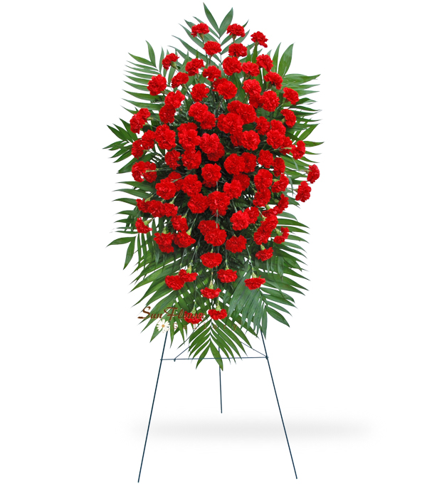 100 Red Carnation Easel Spray